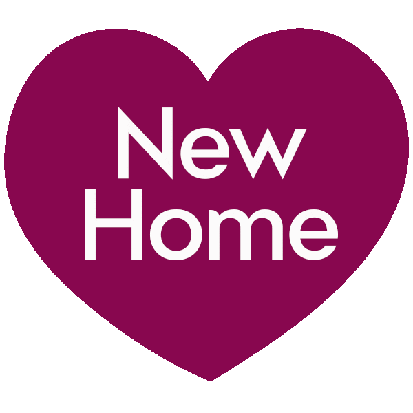 bendigobank giphyupload new home bendigobank Sticker