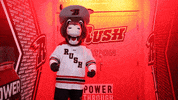 South Dakota No GIF by Rapid City Rush