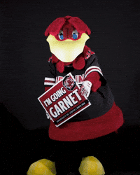 Sc GIF by University of South Carolina