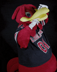 Mascot Celebrate GIF by University of South Carolina