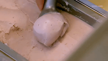 viceland GIF by THE ICE CREAM SHOW