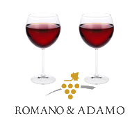 romanoeadamo romano adamo Sticker