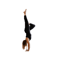 Nowfam Sticker by NOW Yoga PDX