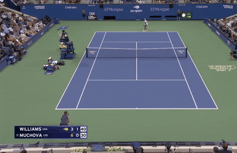 Venus Williams GIF Highlight