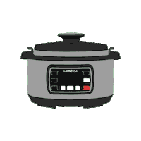 Pressure Cooker Instant Pot Sticker by GoWISE USA