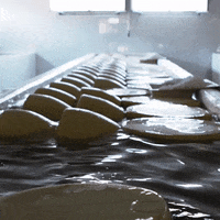 Cheese Swimming GIF by Parmigiano Reggiano