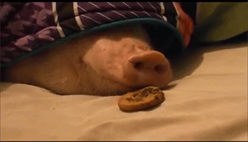 life GIF