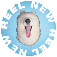 Video Reel Sticker