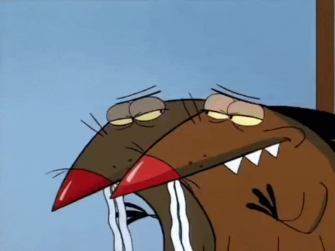 Angry Beavers Omg GIF by NickRewind