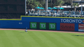 Blue Jays Mlb GIF by Toronto Blue Jays