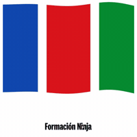 Bandera GIF by Formación Ninja