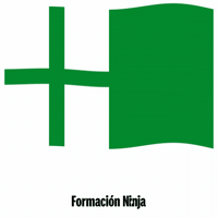 Flag Spain GIF by Formación Ninja