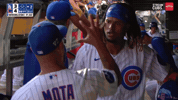 Chicago Cubs Baseball GIF