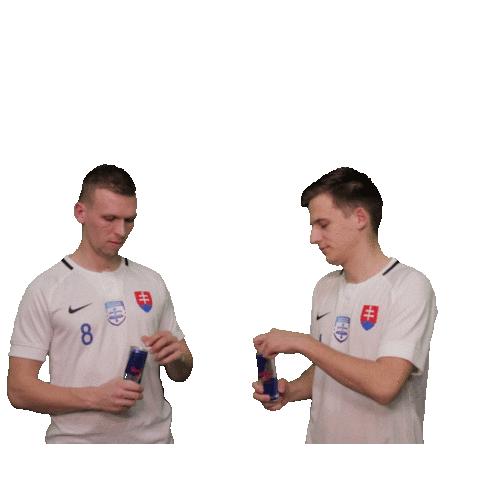 Malyfutbal Sticker by Slovenský zväz malého futbalu