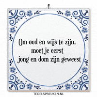Humor Dom GIF by Tegelspreuken.nl