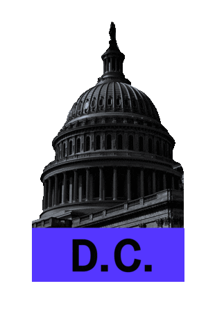ridespin dc scooter washington dc capitol Sticker