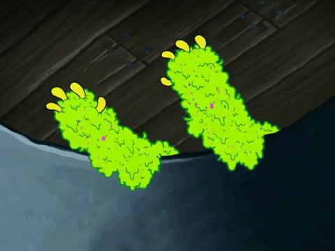 season 5 episode 3 GIF by SpongeBob SquarePants