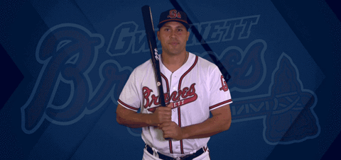 baseball GIF by Gwinnett Braves