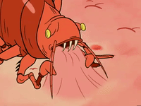 season 5 episode 10 GIF by SpongeBob SquarePants