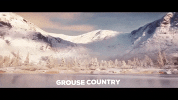 Tfg GIF by The Famous Grouse