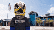 HeartlandCommunityCollege  GIF