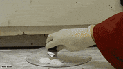 GIF by Giphy QA