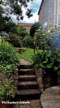 Shikasketchbook GIF by Stella 52