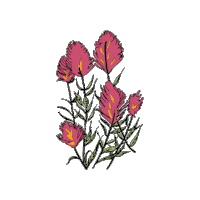 foilme flowers wildflower foil me foilme Sticker