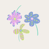 Flower Wow GIF