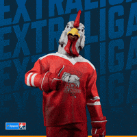 Hockey Hokej GIF by Tipsport extraliga