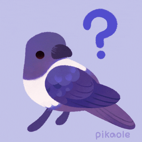 Bird What GIF by pikaole