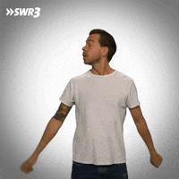 Stop No GIF by SWR3