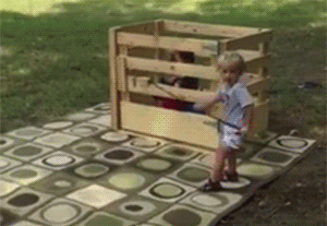 rodeo jugar GIF