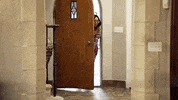 nicole polizzi GIF by Jersey Shore Family Vacation