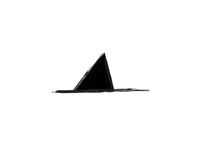 MiguelElAngel bird fly flying birds GIF