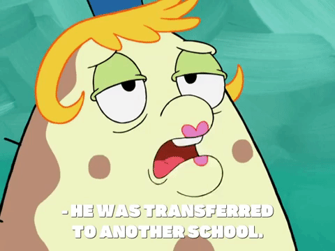 season 8 GIF by SpongeBob SquarePants