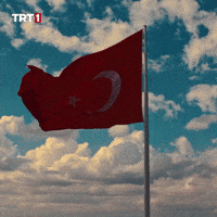 19 Mayıs Turkey GIF by TRT