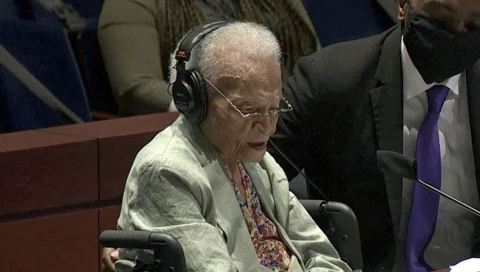 Testimony GIF by GIPHY News