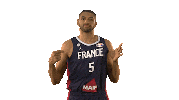 France Game Sticker by FIBA