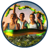 Bom Dia Agro Sticker by Atto Sementes