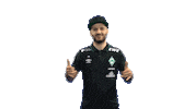 Fifa Playstation Sticker by SV Werder Bremen