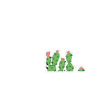 Cactus Desert Sticker by Seattle Chocolate