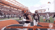 Nfl Playoffs Football GIF by NFL
