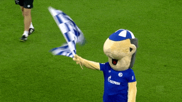 Football Soccer GIF by FC Schalke 04