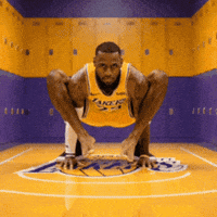 Lebron James GIF