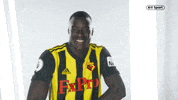 premier league football GIF by BT Sport