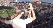 high five fans GIF by Philadelphia Union