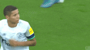 Football Soccer GIF by FC Schalke 04