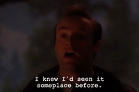 Season 2 Episode 21 GIF by Twin Peaks on Showtime
