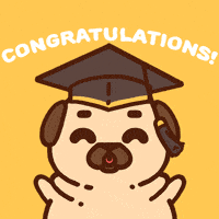 Congrats Celebrate GIF by Puglie Pug